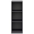 AKTENREGAL Anthrazit  - Anthrazit, KONVENTIONELL, Holzwerkstoff (40/112,5/40cm) - Moderano