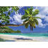 Strand & Meer KEILRAHMENBILD - Multicolor, KONVENTIONELL, Holz/Papier (66/48/3cm) Strand & Meer KEILRAHMENBILD - Multicolor, KONVENTIONELL, Holz/Papier (66/48/3cm)