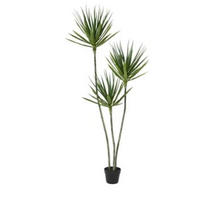 VEŠTAČKA BILJKA     80/160/80 cm         - zelena/braon, Osnovno, kamen/metal (80/160/80cm) - Ambia Home