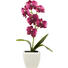 KUNSTPFLANZE - Pink/Gelb, Basics (18cm) KUNSTPFLANZE - Pink/Gelb, Basics (18cm)