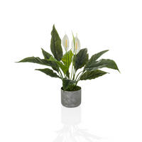 KUNSTPFLANZE  - Weiß/Grau, MODERN, Kunststoff (55/60/40cm) - MID.YOU