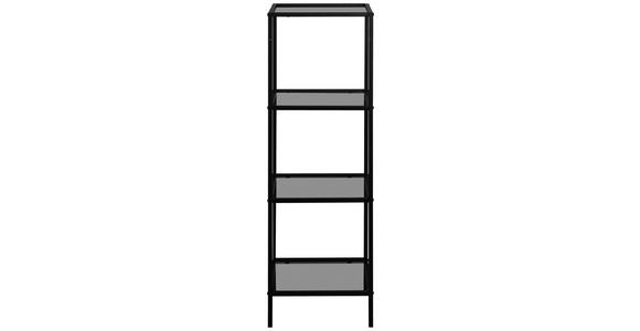 REGAL Schwarz - Schwarz, Basics, Glas/Metall (37/118/33cm) - Carryhome