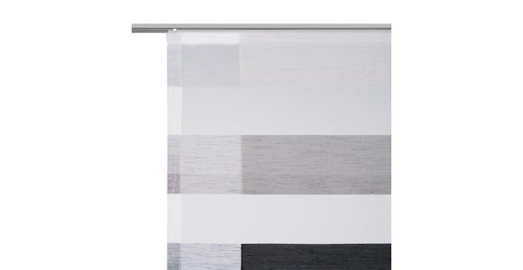 FLÄCHENVORHANG   halbtransparent  60/245 cm   - Anthrazit, Basics, Textil (60/245cm) - Dieter Knoll