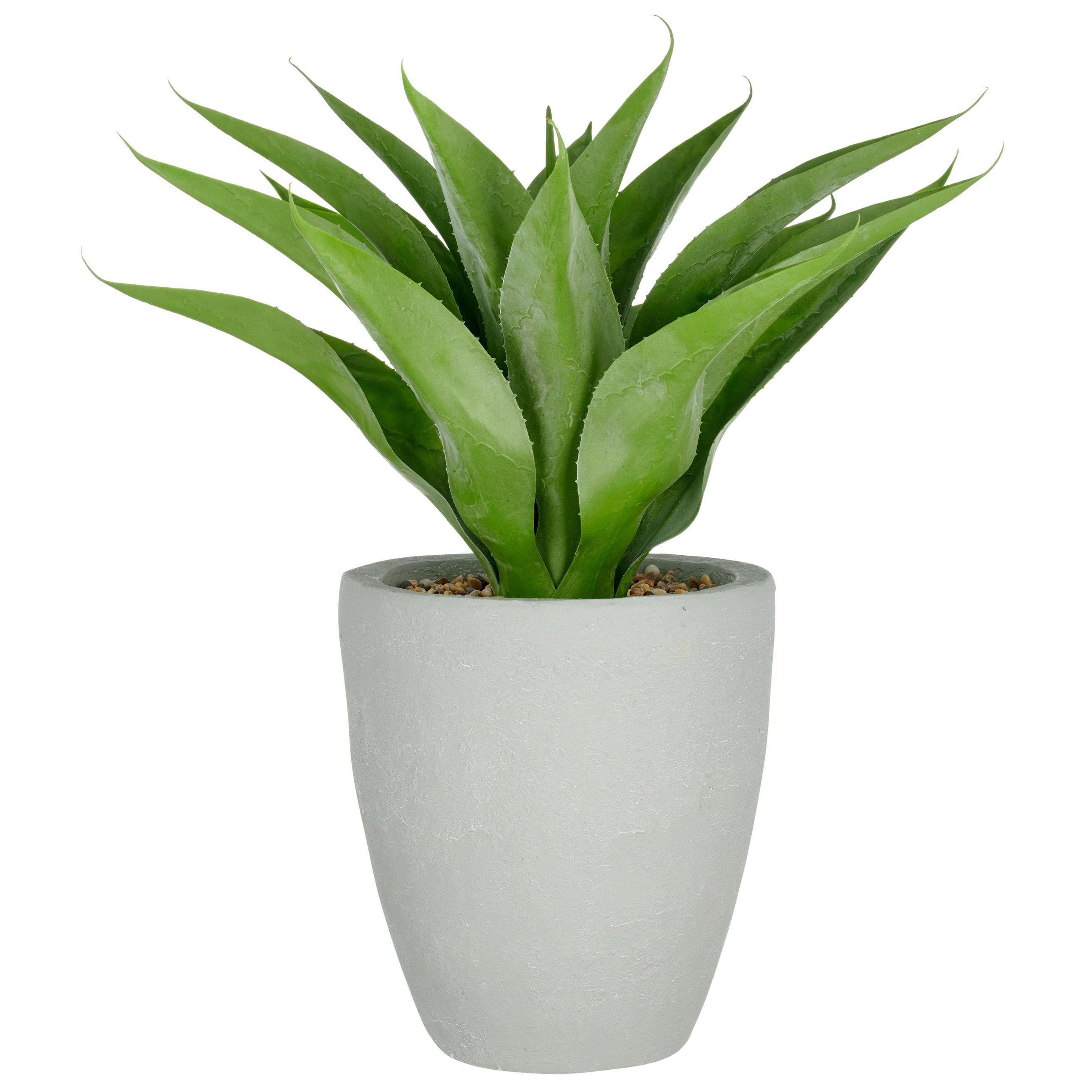 KUNSTPFLANZE Agave  - Grau/Grün, Basics, Kunststoff (35/80/35cm) - P & B