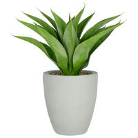 KUNSTPFLANZE Agave 80 cm  - Grau/Grün, Basics, Kunststoff (80cm) - P & B