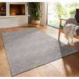 WEBTEPPICH 200/290 cm Homestyle Hellgrau  - Hellgrau, Design, Textil (200/290cm) - Novel