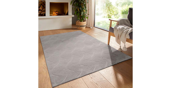 WEBTEPPICH 200/290 cm Homestyle Hellgrau  - Hellgrau, Design, Textil (200/290cm) - Novel