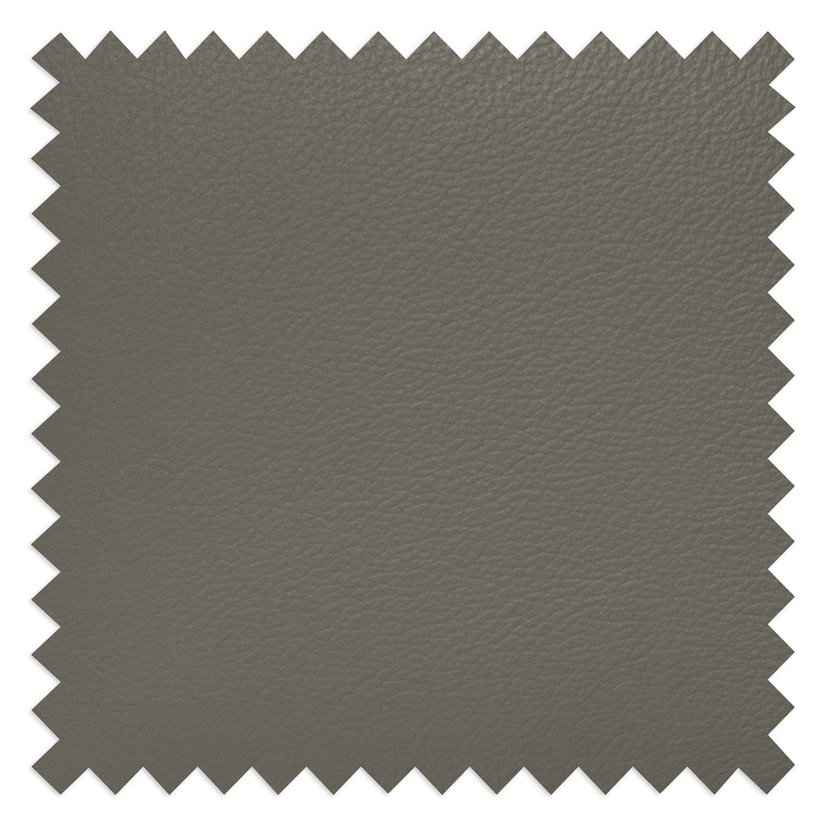SCHLAFSOFA in Leder Schlammfarben  - Schlammfarben/Silberfarben, Design, Leder/Metall (204/84/104cm) - Livetastic