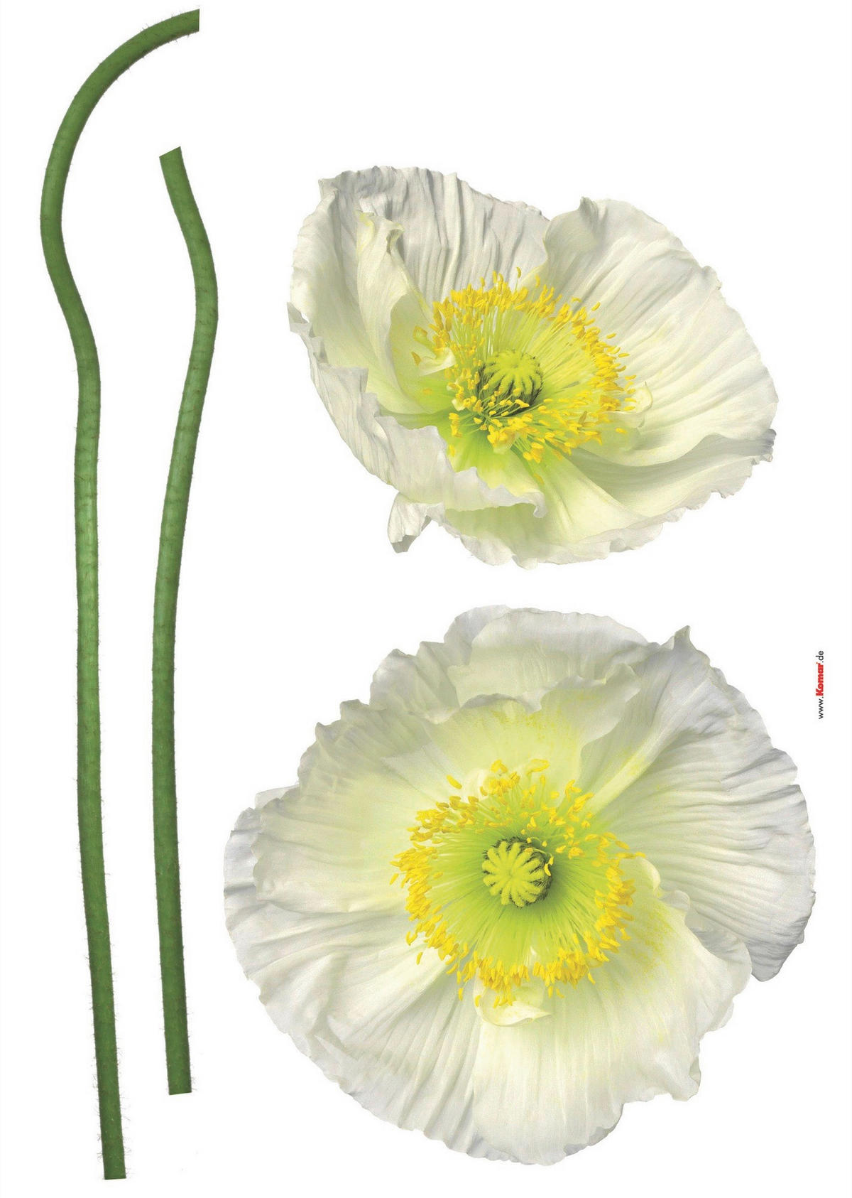 DEKOSTICKER  - Gelb/Weiß, Natur, Kunststoff (50/70cm) - Komar