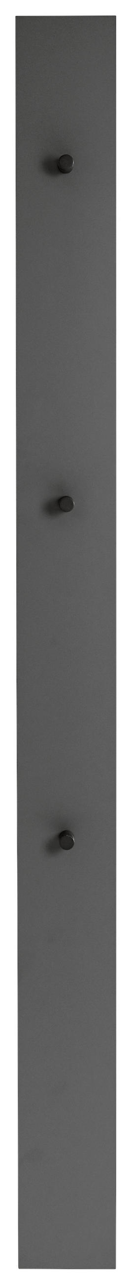 GARDEROBENPANEEL Anthrazit, Grau - Anthrazit/Grau, Design (14/170/5cm) - Dieter Knoll