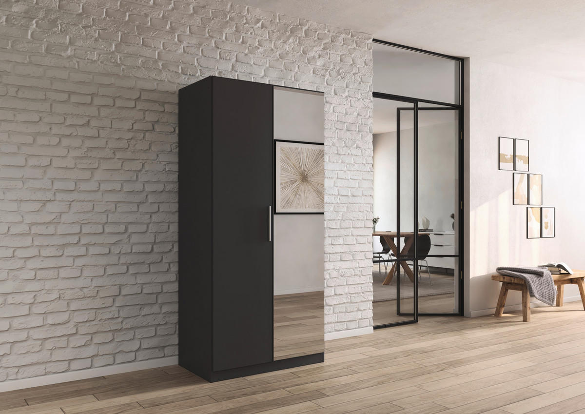 DREHTÜRENSCHRANK 91/197/54 cm,  in Grau, 2-türig  - Alufarben/Grau, KONVENTIONELL, Glas/Holzwerkstoff (91/197/54cm) - home24