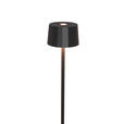 AKKU-STEHLEUCHTE 16/120 cm    - Schwarz, Design, Kunststoff/Metall (16/120cm) - Dieter Knoll