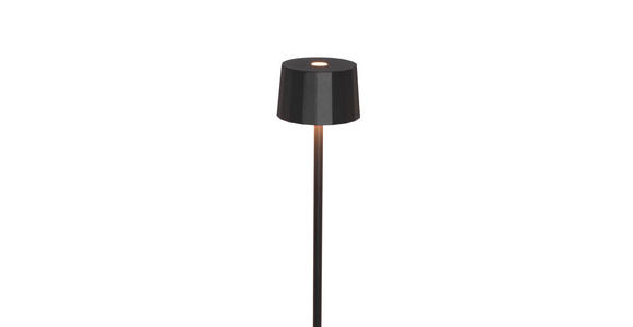 AKKU-STEHLEUCHTE 16/120 cm - Schwarz, Design, Kunststoff/Metall (16/120cm) - Dieter Knoll
