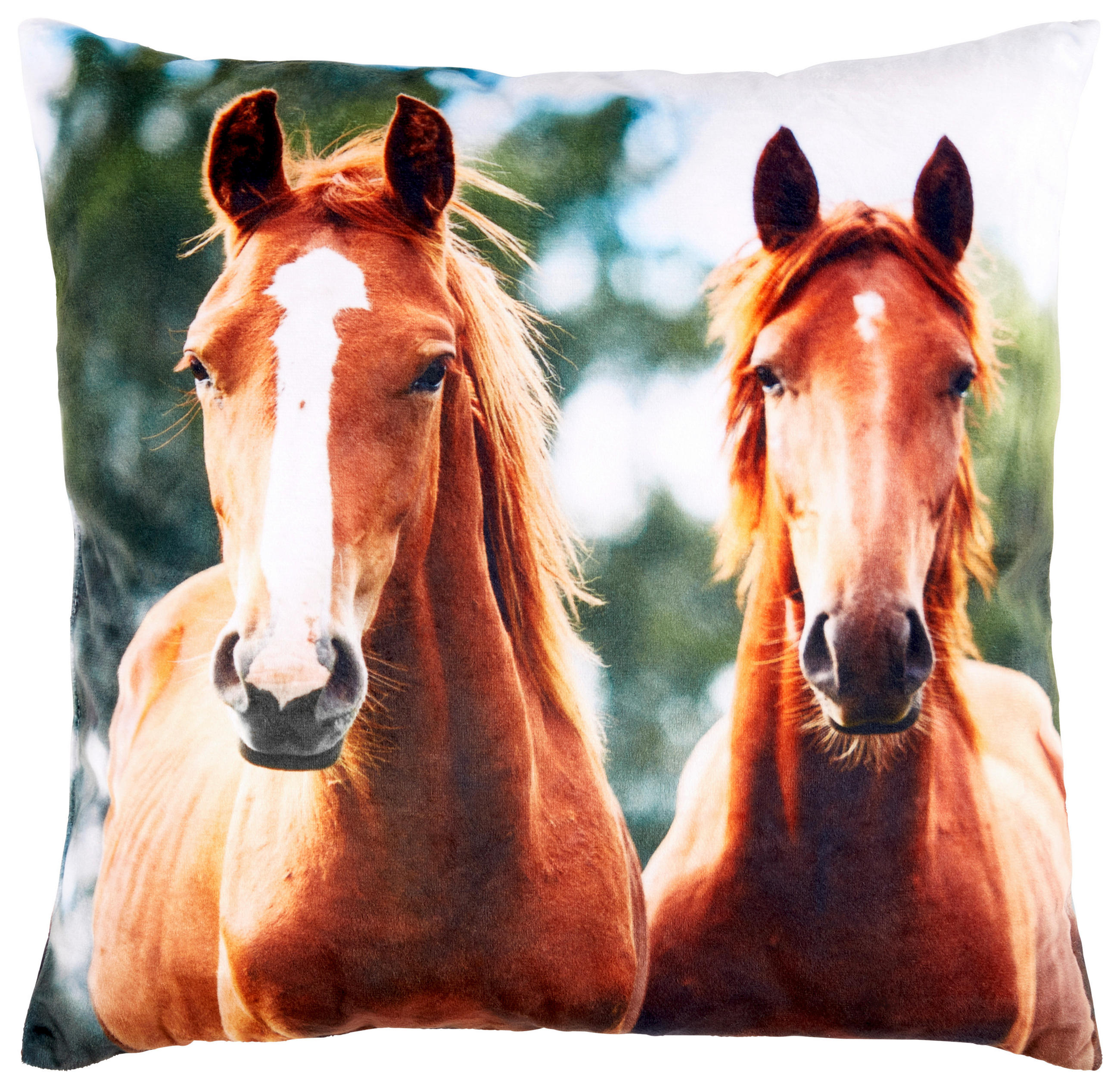 Zierkissen Horse