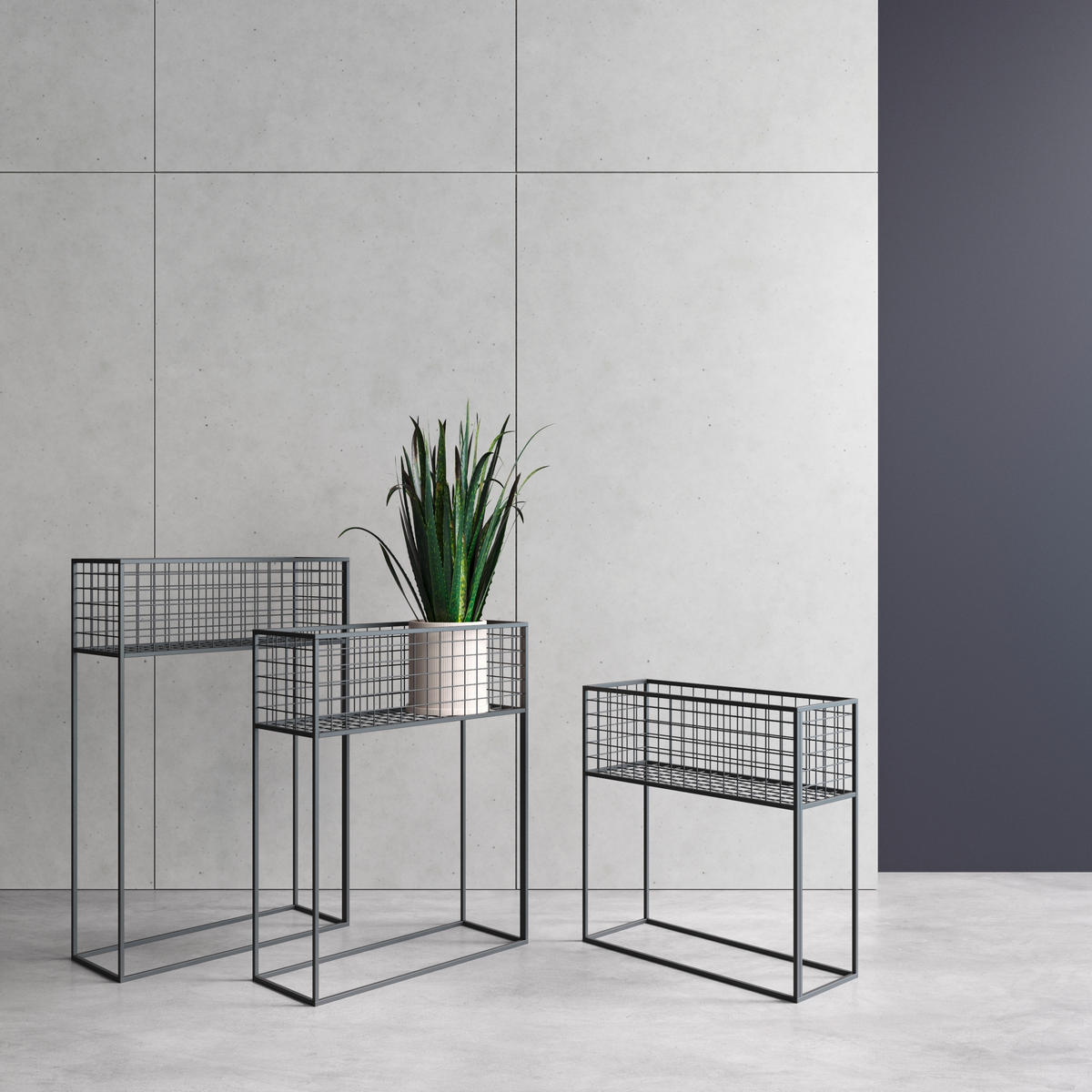 BLUMENSTÄNDER Metall  - Schwarz, Basics, Metall (60/75/23cm)