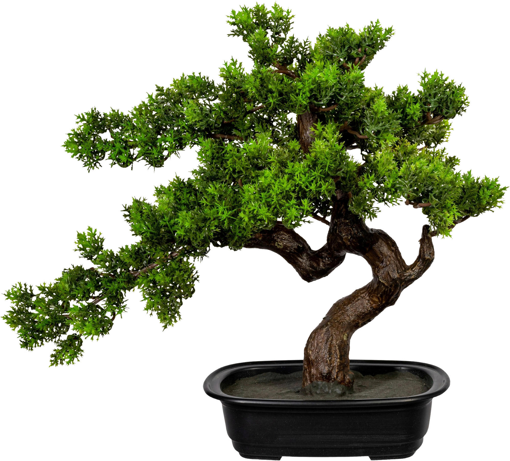 KUNSTPFLANZE Bonsai 40 cm  - Schwarz/Braun, Design, Kunststoff (40cm) - P & B