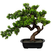 KUNSTPFLANZE Bonsai 40 cm  - Schwarz/Braun, Design, Kunststoff (40cm) - P & B