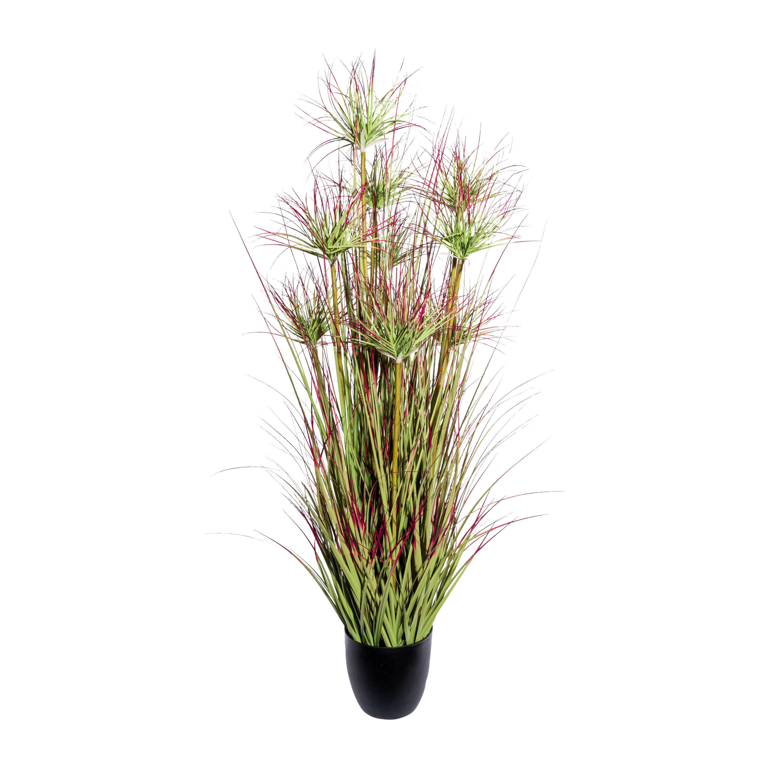 KUNSTPFLANZE Zyperngras 125 cm  - Rot/Schwarz, Design, Kunststoff (125cm) - P & B