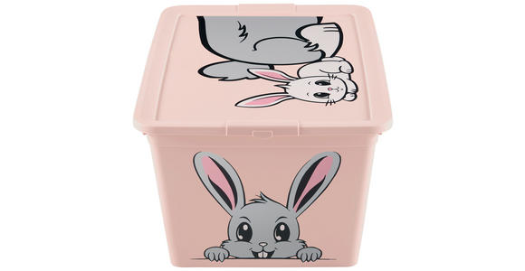 SPIELZEUGBOX 48,5/36/25 cm - Rosa, Basics, Kunststoff (48,5/36/25cm) - My Baby Lou