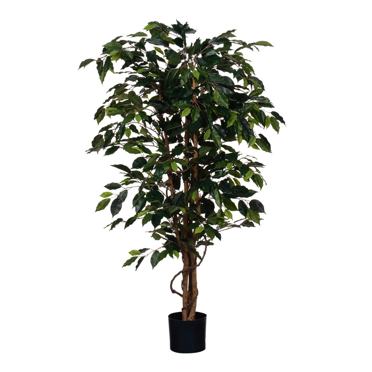 FIKUS BENJAMÍN  - zelená, Basics, plast (85/150cm)