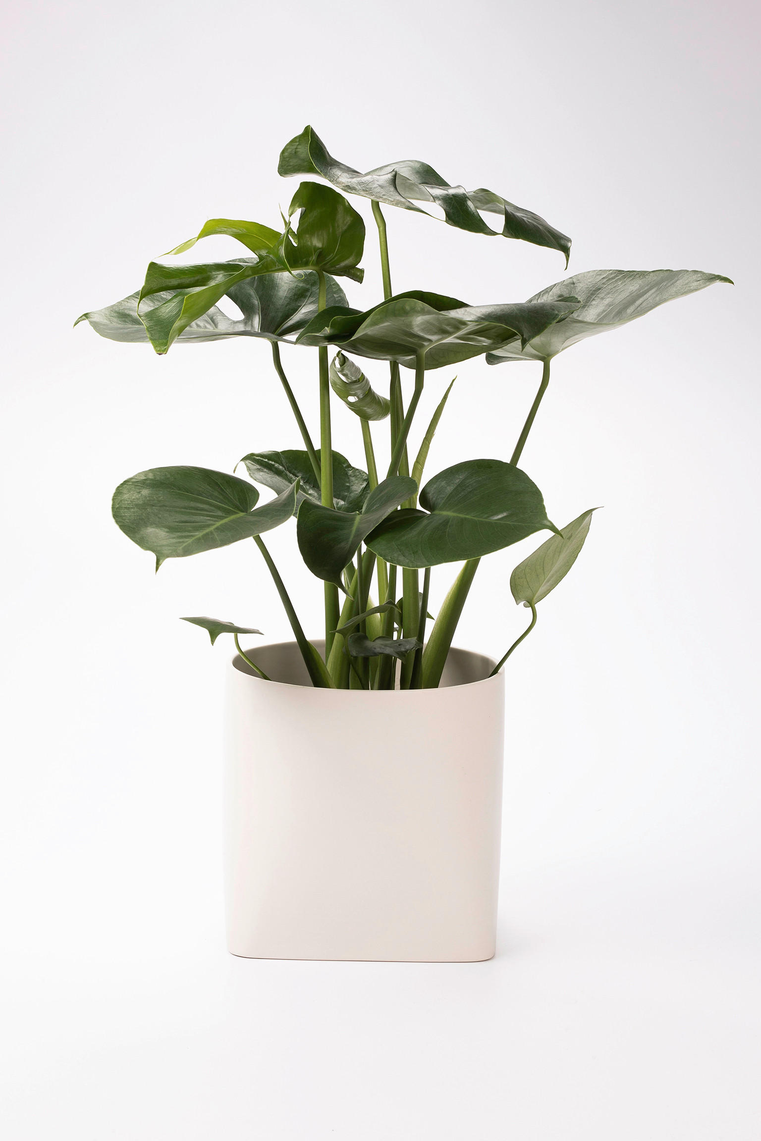 ÜBERTOPF  - Weiß, Basics, Keramik (22/20/20cm) - Markslöjd