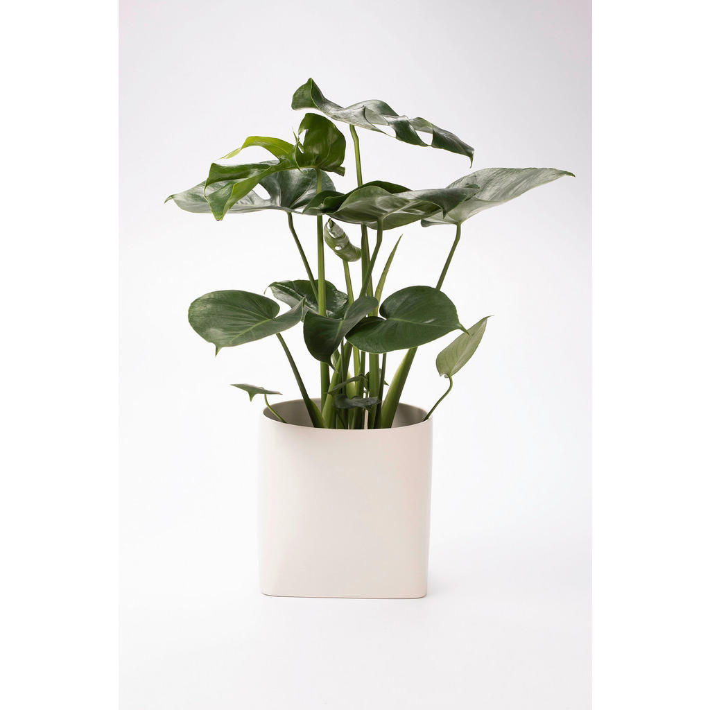 Thumbnail - Markslöjd Übertopf, Weiß, Keramik, quadratisch, 20x20x22 cm, Dekoration, Blumen & Zubehör, Übertöpfe