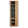 VITRINE in Anthrazit, Eiche Artisan  - Anthrazit/Eiche Artisan, Design, Glas/Holzwerkstoff (64/200/41cm) - Cantus