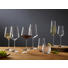 SKLENICE NA SEKT - průhledné, Design, sklo (7,20/26,00/7,20cm) - Leonardo SKLENICE NA SEKT - průhledné, Design, sklo (7,20/26,00/7,20cm) - Leonardo