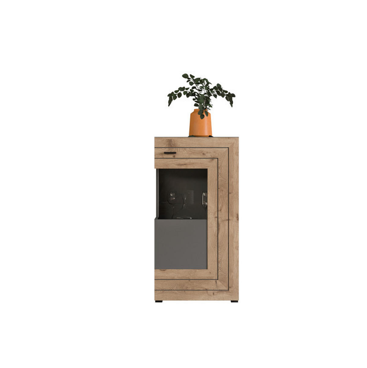 OMARA S KLASIČNIMI VRATI,  - Konvencionalno, kovina/steklo (117/60/37cm) - MID.YOU