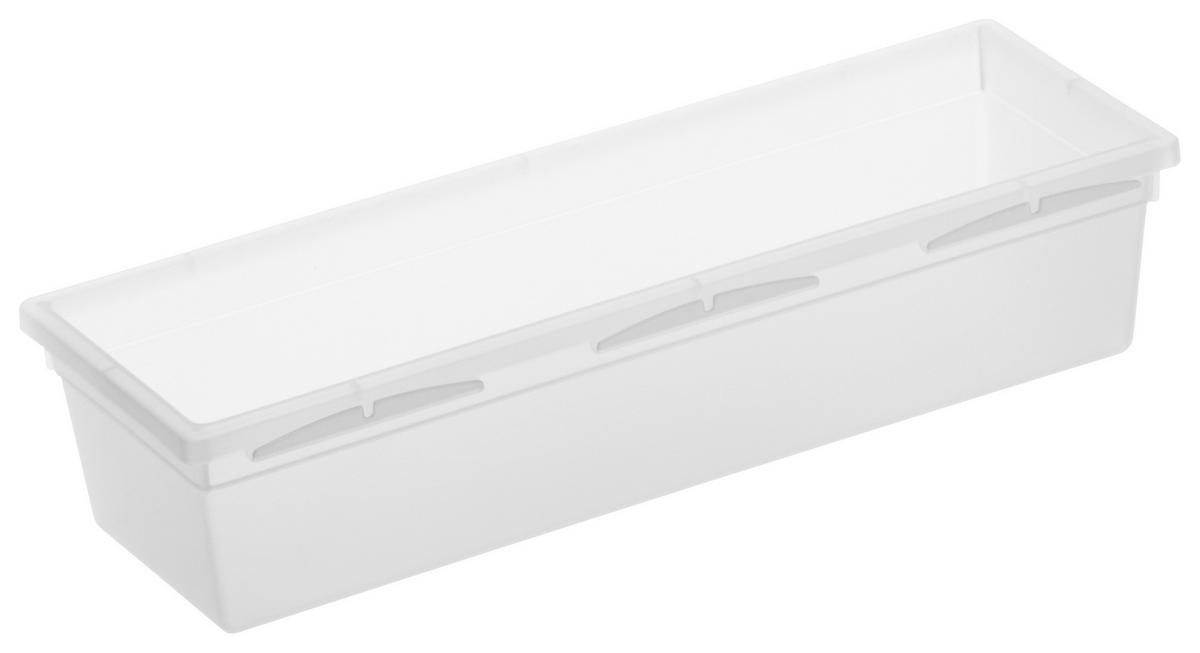 AUFBEWAHRUNGSBOX 23/8/5 cm  - Klar, Basics, Kunststoff (23/8/5cm) - Rotho