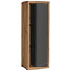 HÄNGEVITRINE Grau, Eiche Artisan  40/115/32 cm  - Eiche Artisan/Grau, Design, Glas/Holzwerkstoff (40/115/32cm) - Stylife