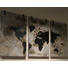 Weltkarte HOLZBILD - Schwarz/Braun, Trend, Holz (210/120/4cm) Weltkarte HOLZBILD - Schwarz/Braun, Trend, Holz (210/120/4cm)