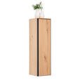 MIDISCHRANK 35/125/37 cm  - Eichefarben/Schwarz, MODERN, Glas/Holz (35/125/37cm) - Dieter Knoll