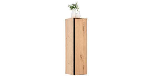 MIDISCHRANK 35/125/37 cm  - Eichefarben/Schwarz, MODERN, Glas/Holz (35/125/37cm) - Dieter Knoll