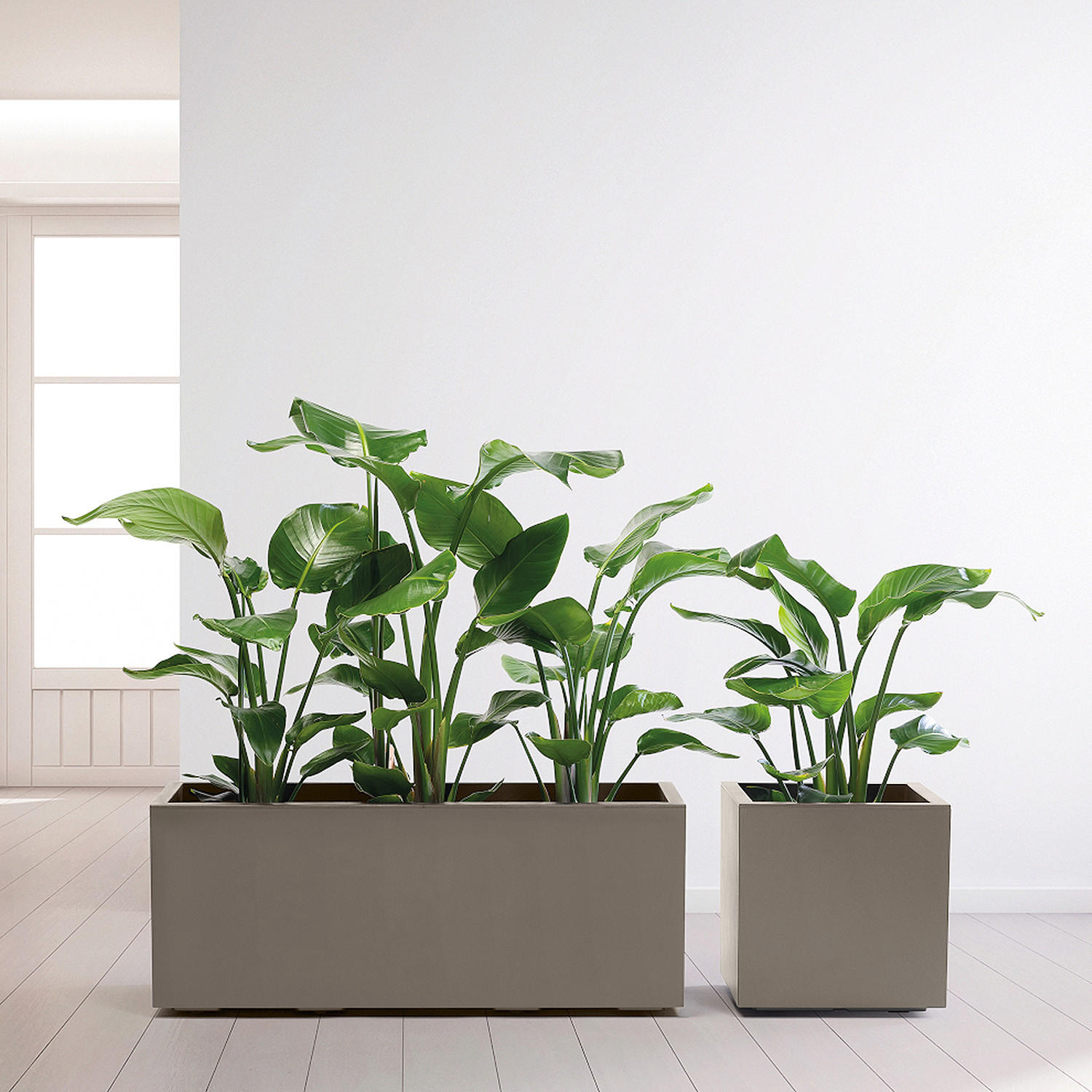 BLUMENKASTEN  - Taupe, Basics, Kunststoff (99,5/39,5/39,5cm)