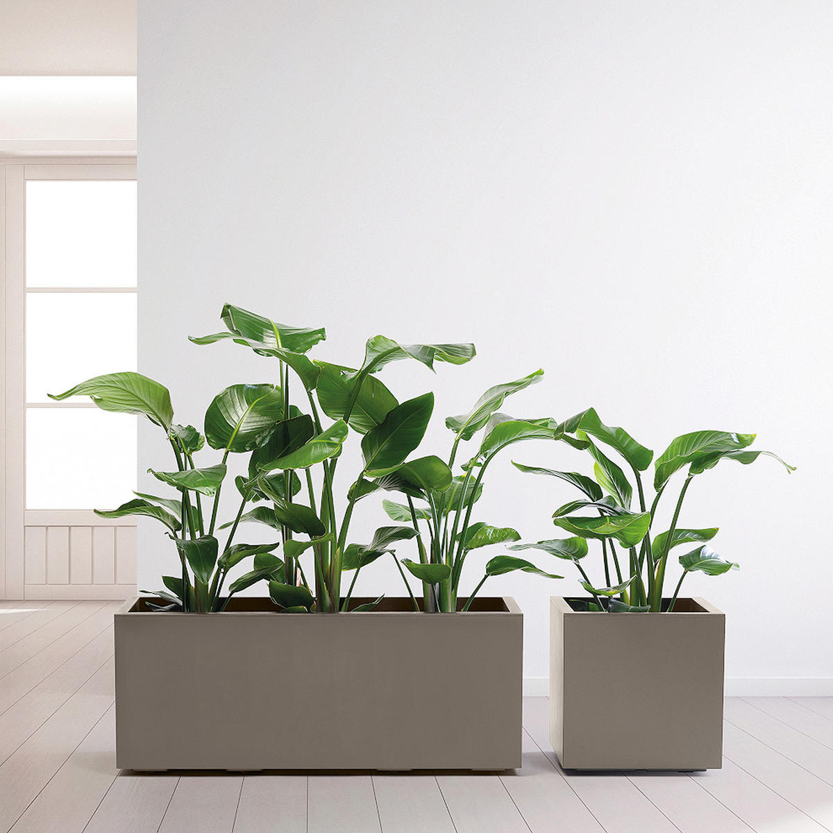 BLUMENKASTEN GREENER KEBE  - Taupe, Basics, Kunststoff (99,5/39,5/39,5cm)