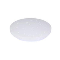 LED PLAFONJERA - bela, Osnovno, metal/plastika (31cm)