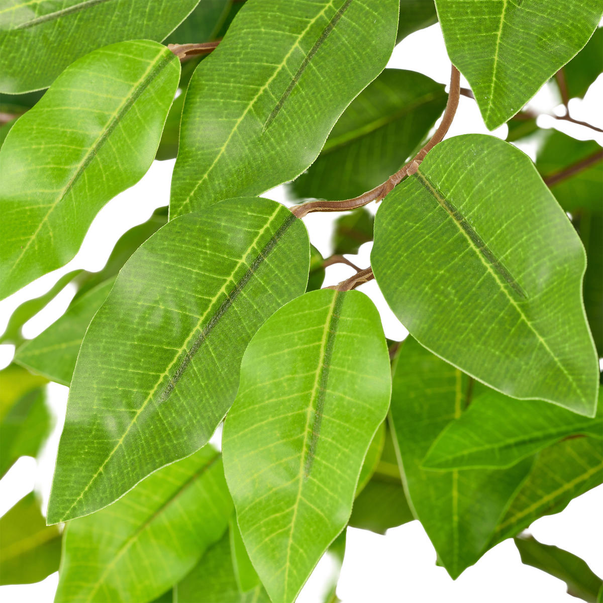 KUNSTPFLANZE Ficus Benjamina 130 cm  - Schwarz/Braun, Basics, Kunststoff (130cm)