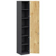 AKTENSCHRANK Anthrazit, Hickory  - Anthrazit/Hickory, KONVENTIONELL, Holzwerkstoff (40/220,5/41,9cm) - Moderano