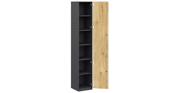 AKTENSCHRANK Anthrazit, Hickory  - Anthrazit/Hickory, KONVENTIONELL, Holzwerkstoff (40/220,5/41,9cm) - Moderano