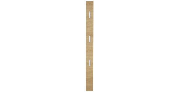 GARDEROBENPANEEL 14/170/3 cm  - Eichefarben, KONVENTIONELL, Holz (14/170/3cm) - Novel