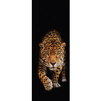 GLASBILD Tiere  - Multicolor, Design, Glas (30/80/1,40cm) - Euroart