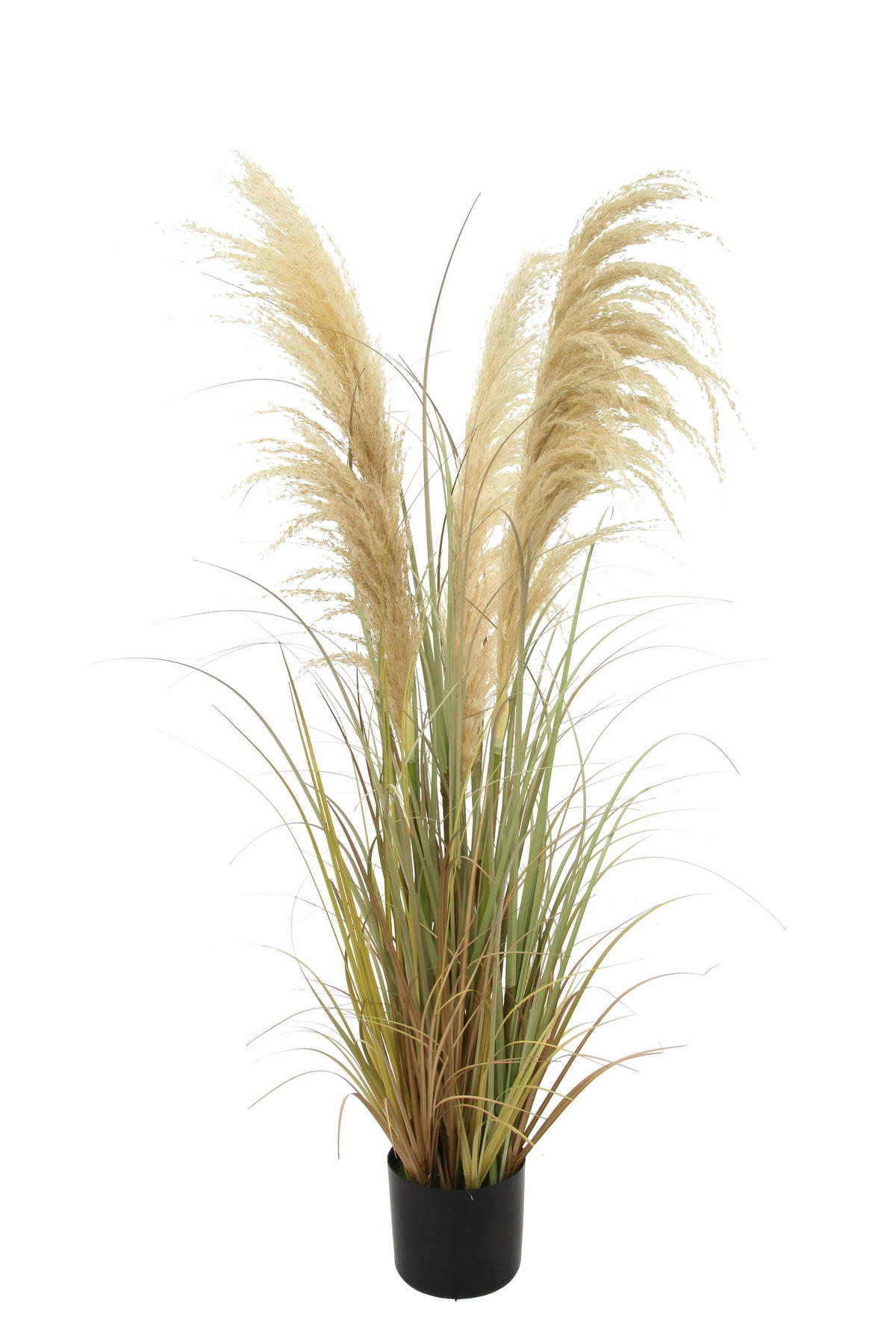 DEKOGRAS  - Braun, Natur, Kunststoff/Metall (120cm) - Ambia Home