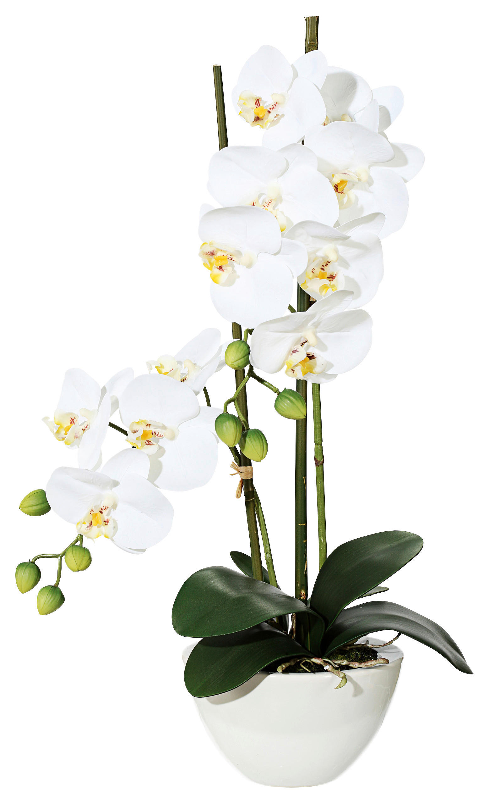 KUNSTPFLANZE Orchidee 50 cm - Weiß/Grün, Design, Keramik/Kunststoff (50cm) - P & B
