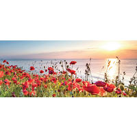 GLASBILD Landschaft & Natur  - Multicolor, Natur, Glas (50/125/1,40cm) - Euroart