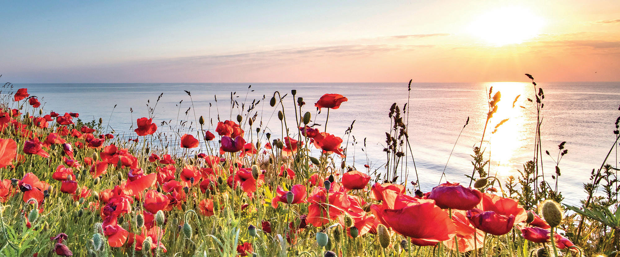 Euroart OBRAZ NA SKLE, krajina a příroda, 50/125/1,40 cm