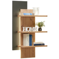 STENSKI PANEL - barve hrasta/antracit, Design, leseni material (60/104/25cm) - Hom`in