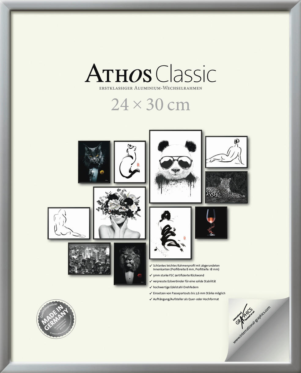 BILDERRAHMEN - Silberfarben, Basics, Papier/Holzwerkstoff (24/30/1,8cm)