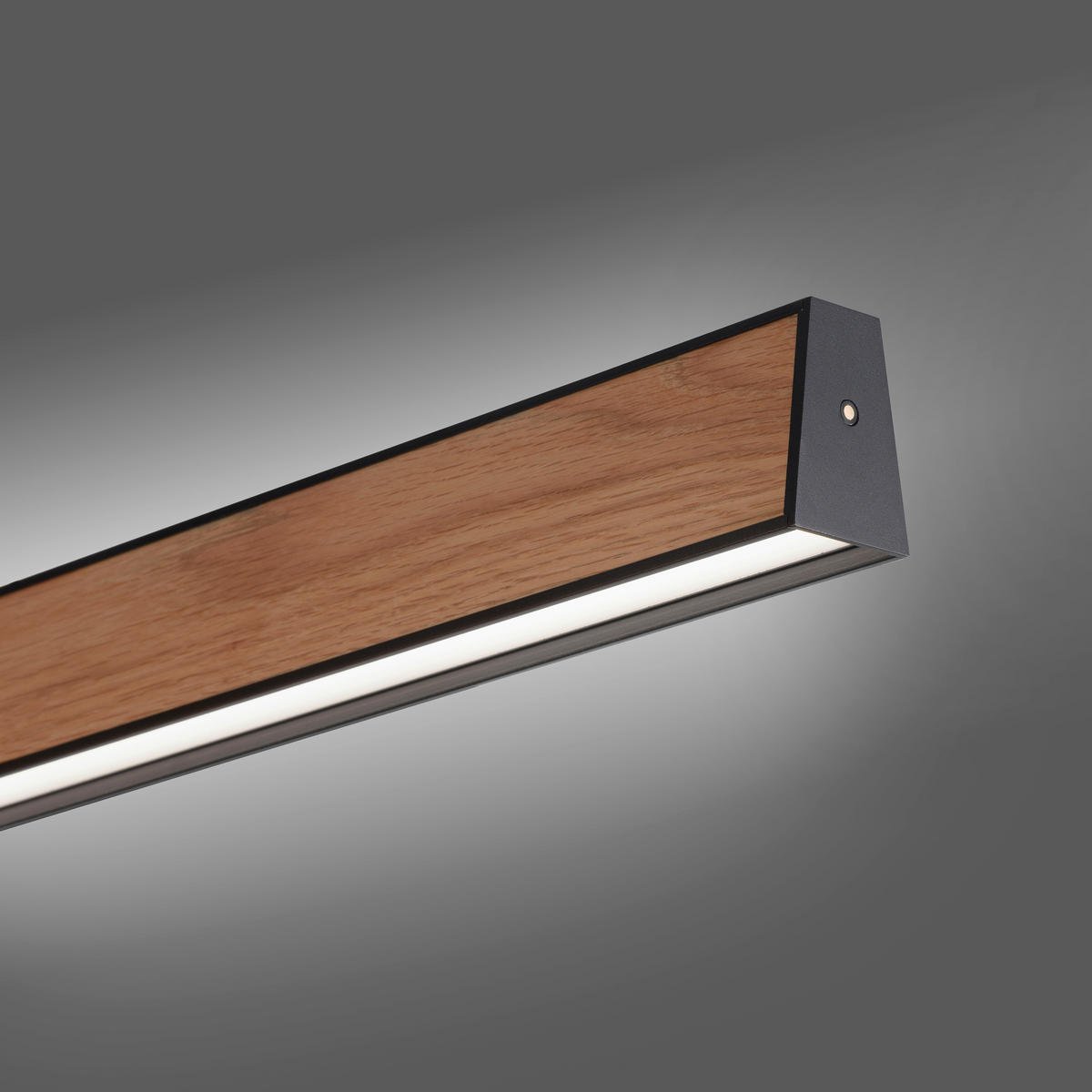 LED-HÄNGELEUCHTE 120/8,2/240 cm  - Braun, Natur, Holz/Kunststoff (120/8,2/240cm) - Neuhaus PURE