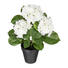 KUNSTBLUME Hortensie - Weiß, Kunststoff (40cm) KUNSTBLUME Hortensie - Weiß, Kunststoff (40cm)